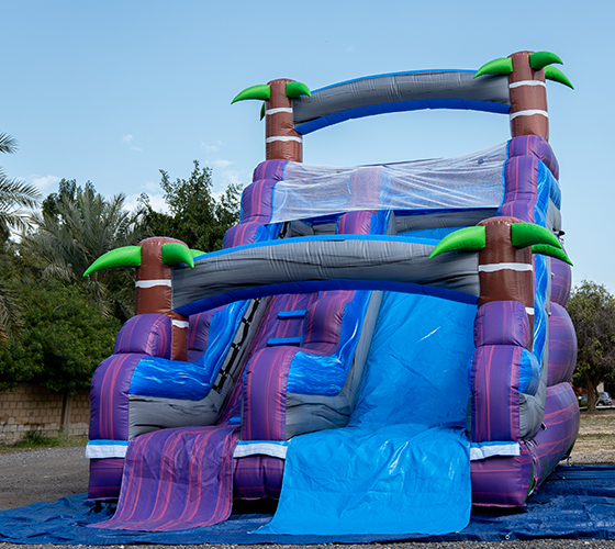 Palm Tree Bouncy Castle
