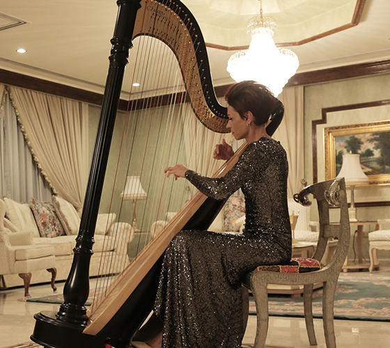 Violetta Harpist