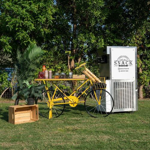 Soft Serve Ice Cream Station