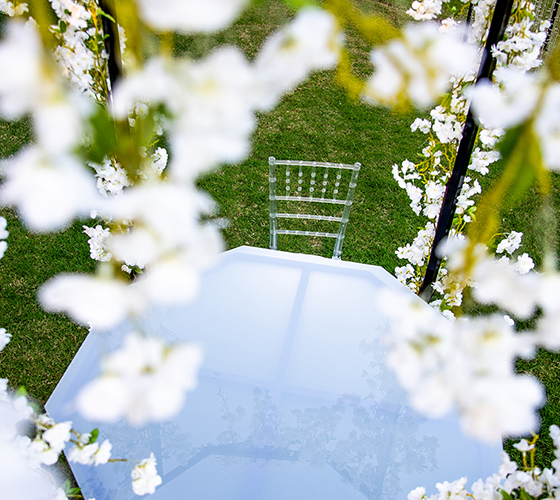 Mini White Cherry Blossom