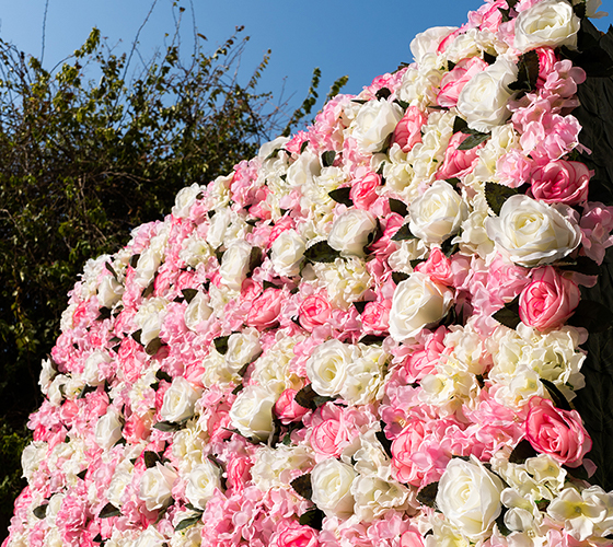 Classic Pink Flower Wall
