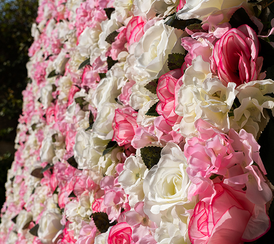 Classic Pink Flower Wall