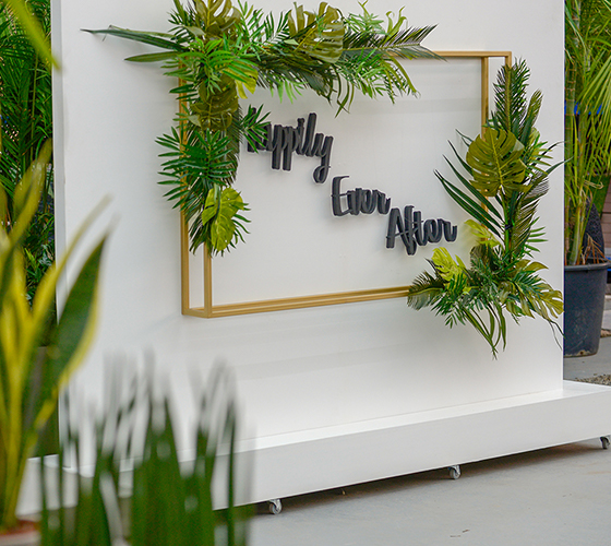Tropical Frame Backdrop
