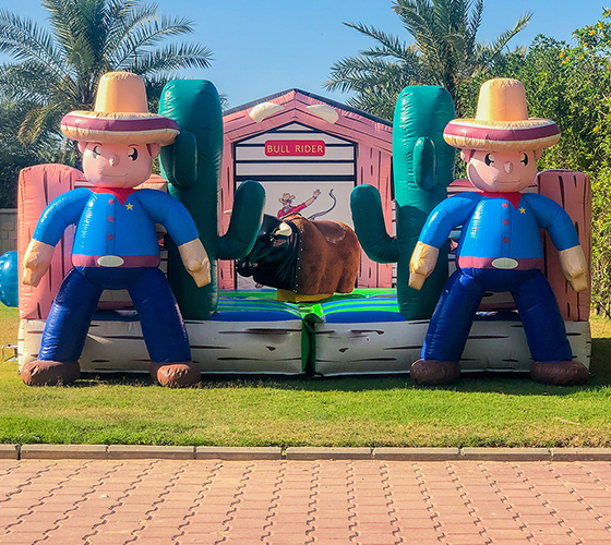 Bull Rider