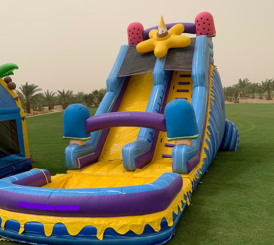 Ice Cream Water Slide