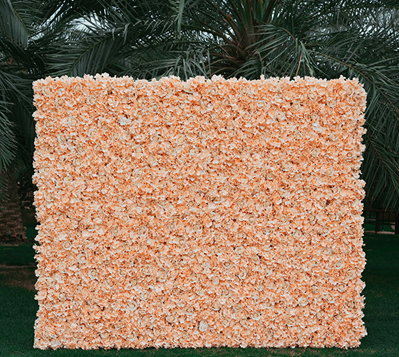 Peach Flower Wall