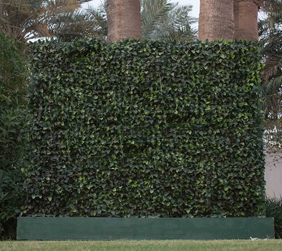 Greenery Wall