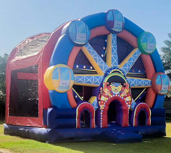 Ferris Combo 4 in 1 Castle