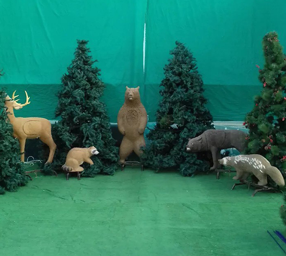 Forest Archery