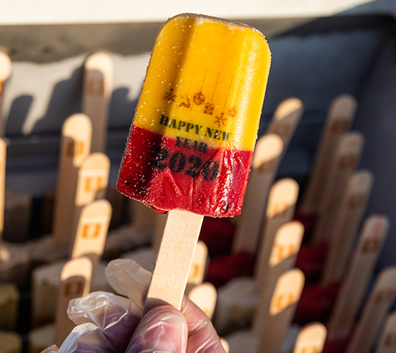 Mini Ice Cream Freezer