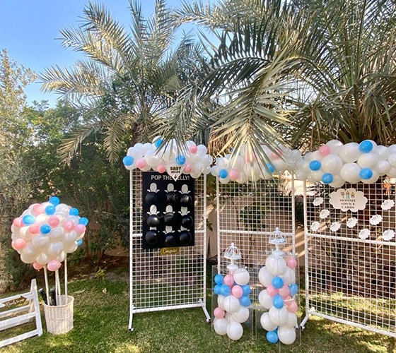 Gender Reveal Backdrop