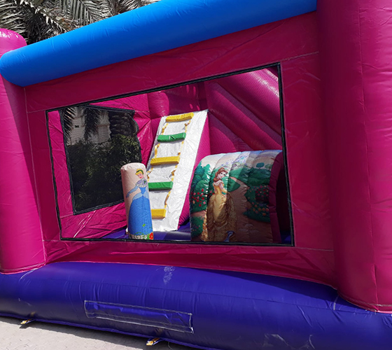 Disney Princesses Bouncer