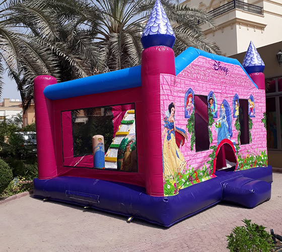 Disney Princesses Bouncer