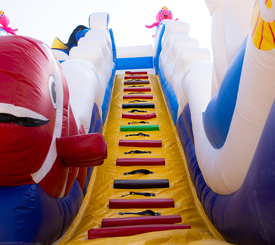 Nemo Bouncy Castle