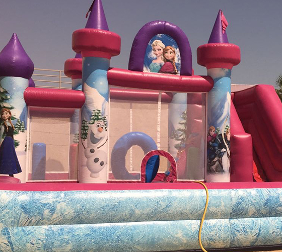 Frozen Water Bouncer