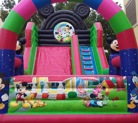 Minnie & Mickey Mouse Slide