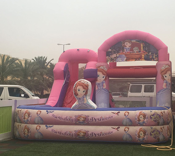Small Princess Water Slide