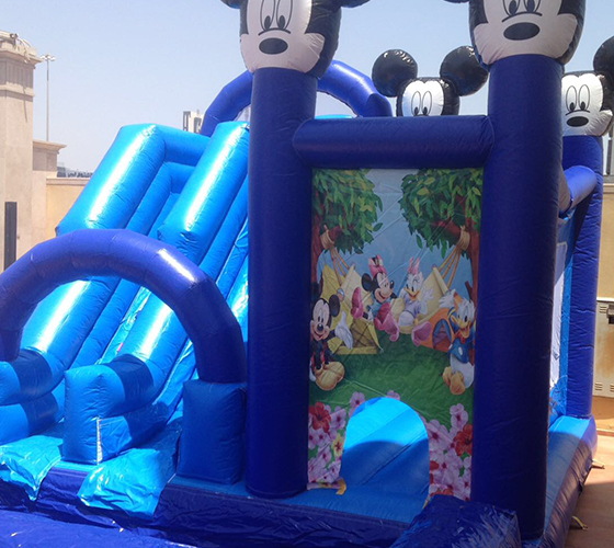 Water Slide - Mickey Mouse