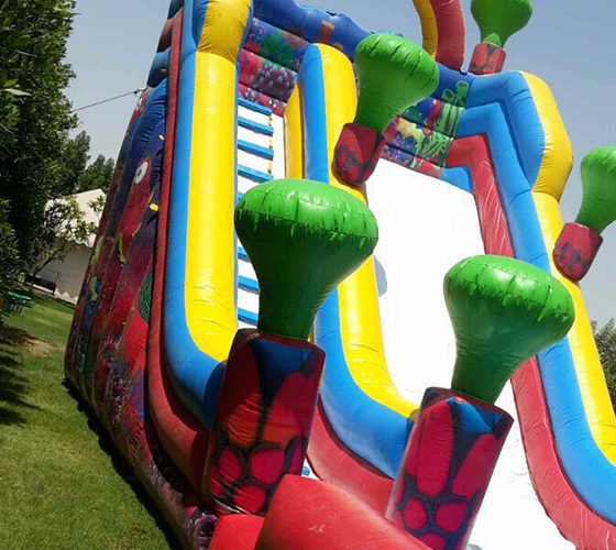 Water Slide - The Ocean