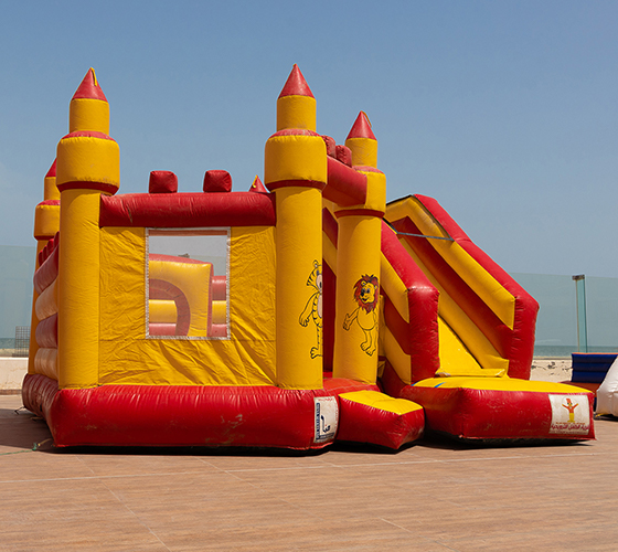 Castle Slide