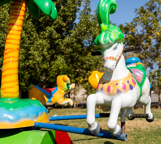 Palm Tree Merry Go Round