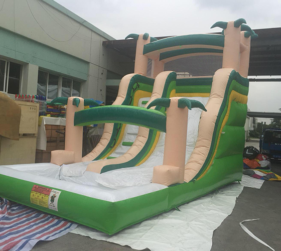 Palm Tree Water Slide