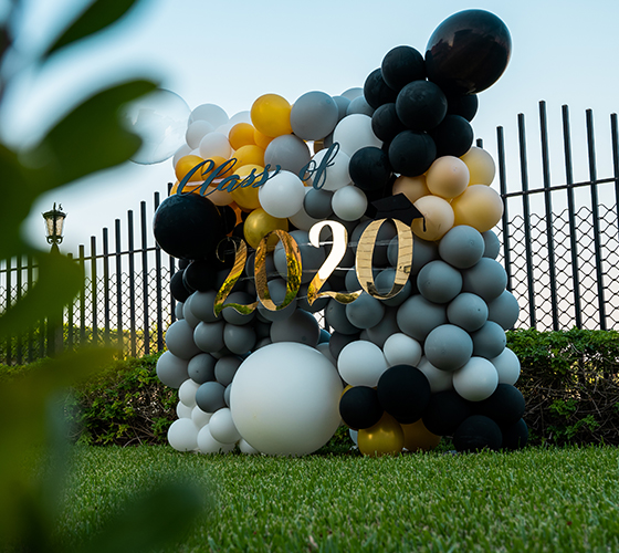 Balloon Wall