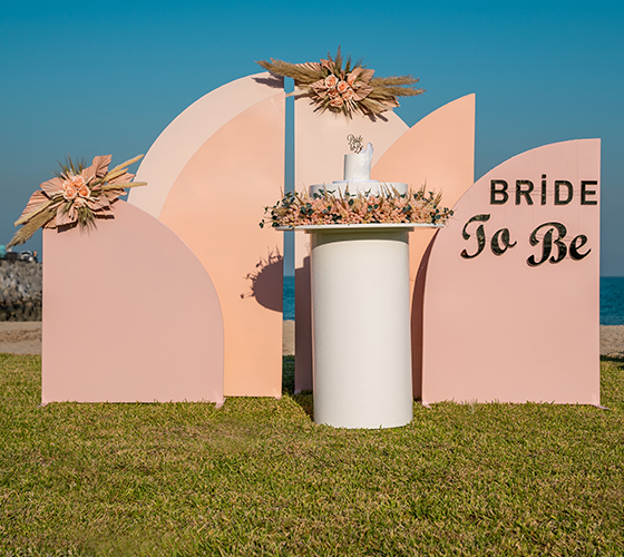 Panels Backdrop-Shades of Pink