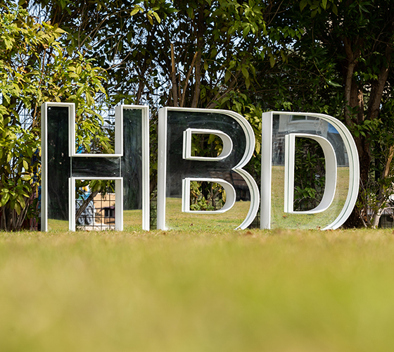 HBD Mirror